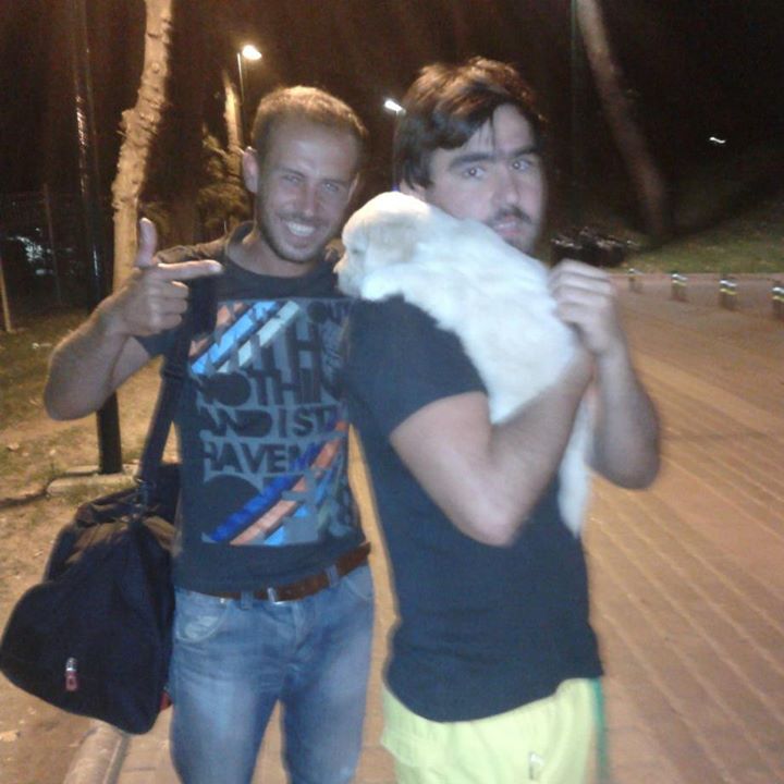 Serdar