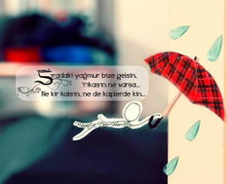 Rabia