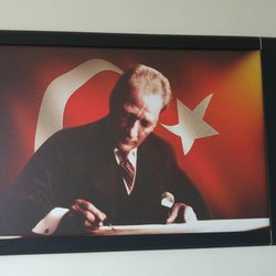 Birgül