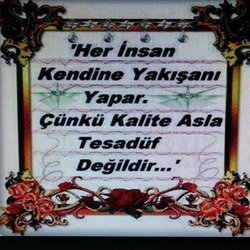 Aynur