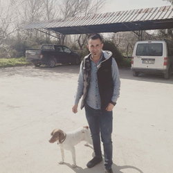 Sedat
