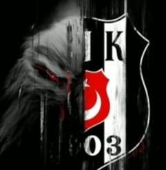 Yiğit
