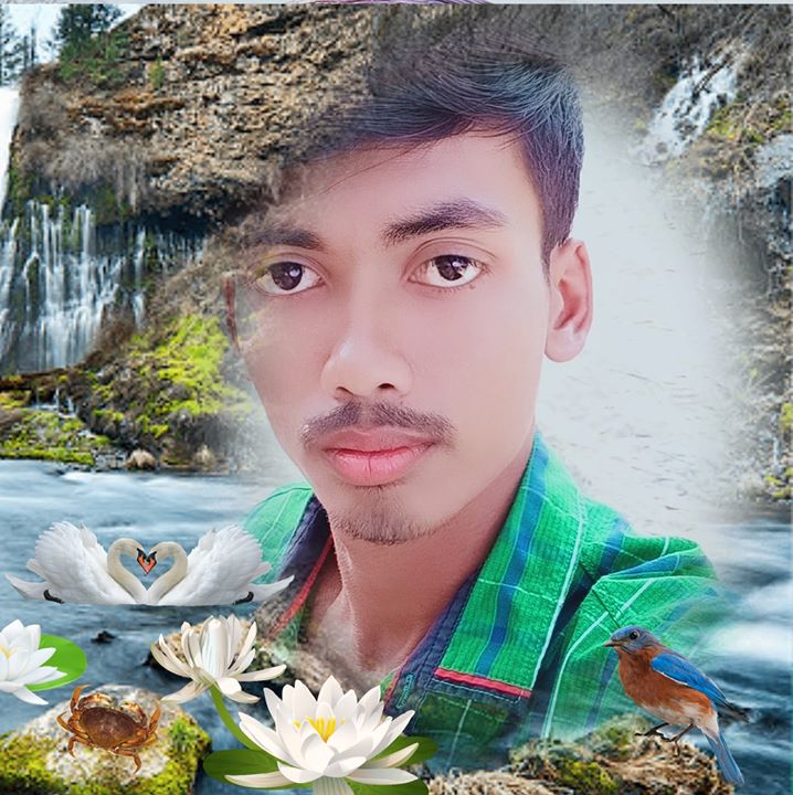 Rajot