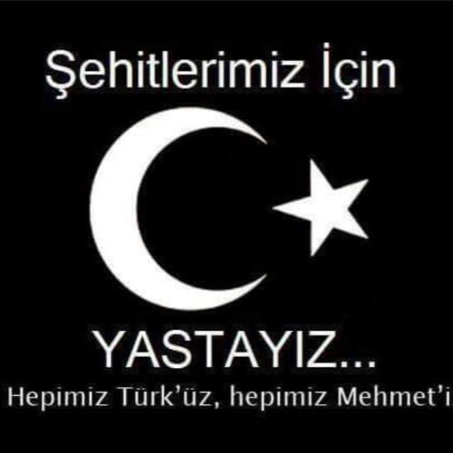 Ayşenur