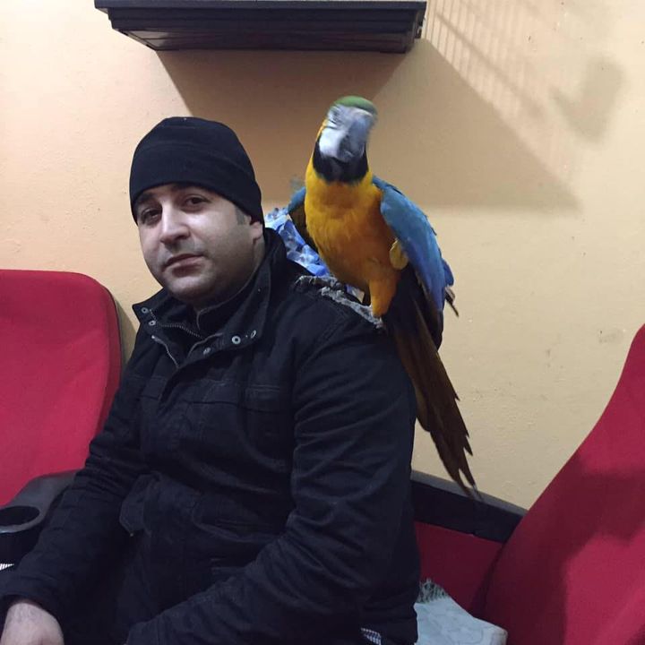 Mustafa