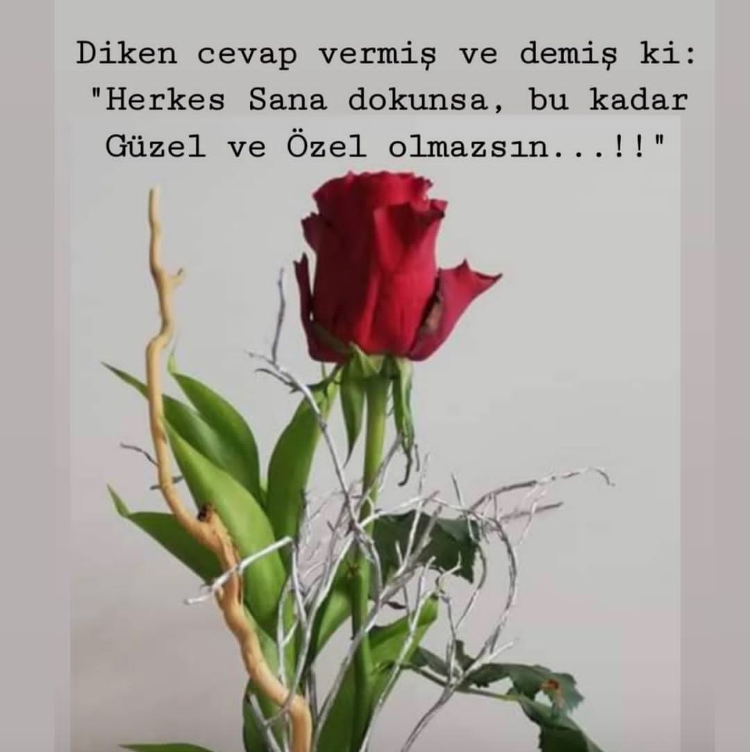 Onur