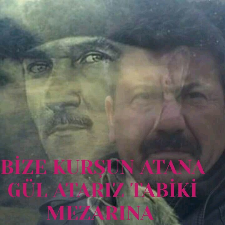 TcHaydar