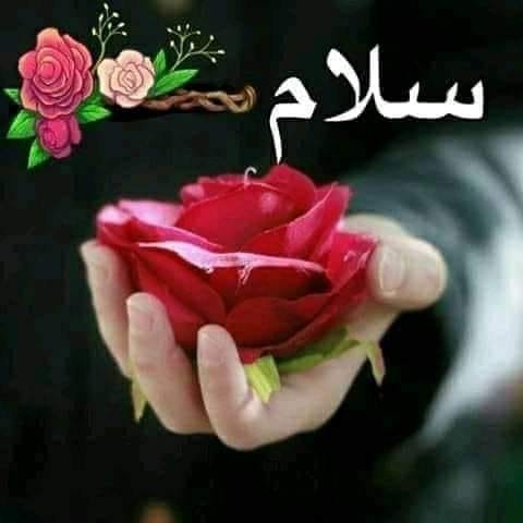 عبدالخبیر