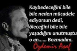 Özcan