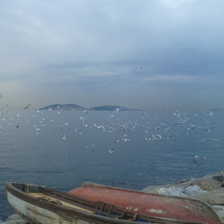 Akın
