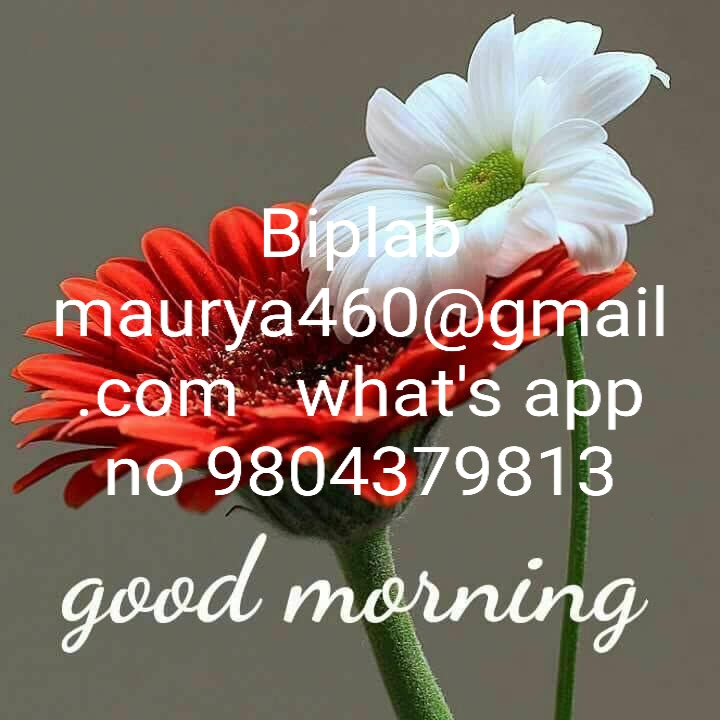 Biplab