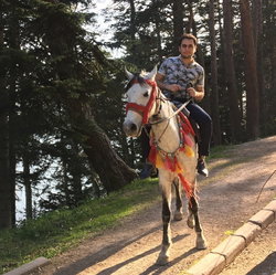 Tolga