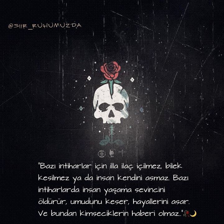 Kadir