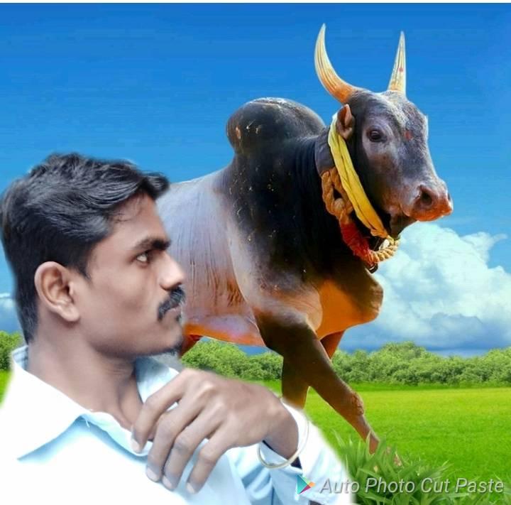 Suresh