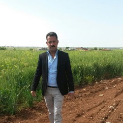 Aydın