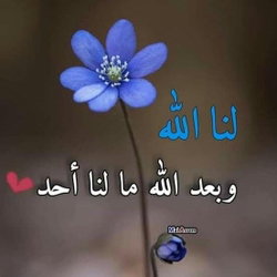محمد