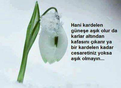 Fatoş