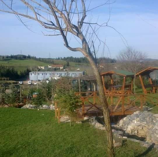 Bayram