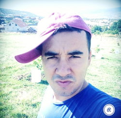 Erdal