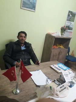 Davut
