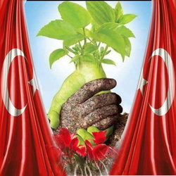 Hakim