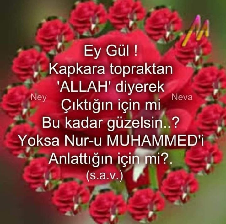 Hatice