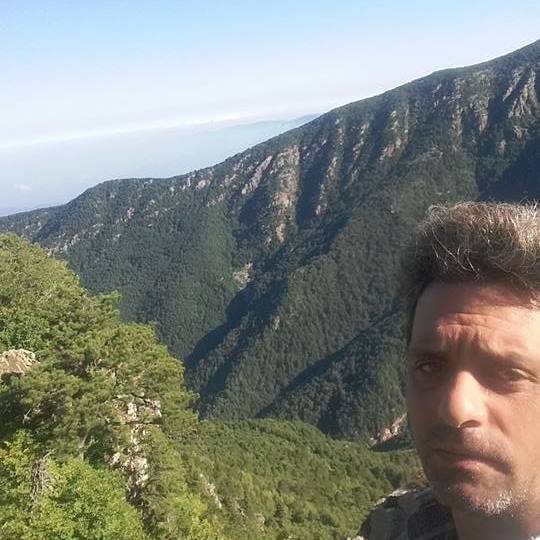 Ali