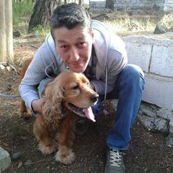 Engin