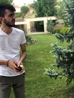 Metehan