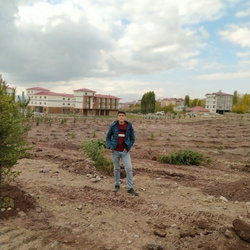 Mustafa
