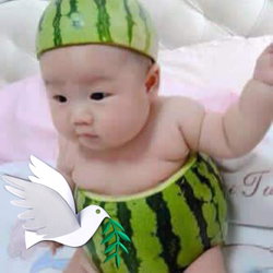 Selim