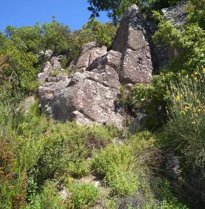 Dursun