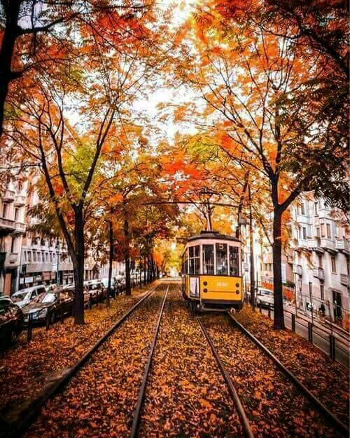 Loand