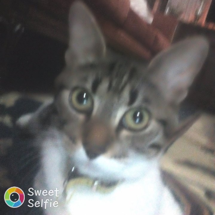 Esma