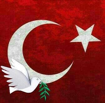 Ercan