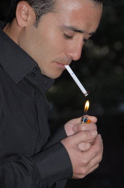 Şahin