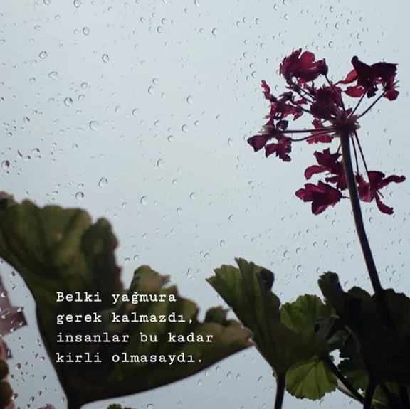 Ceylan