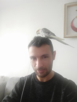 Ozi