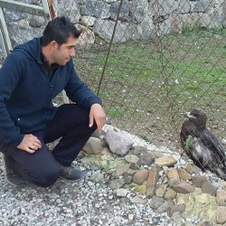 Durmuş