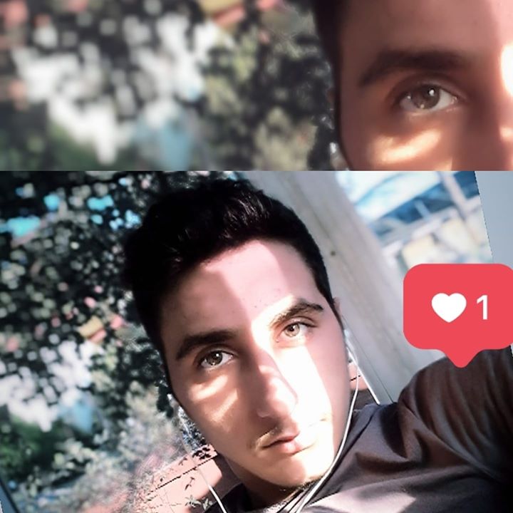 Waleed