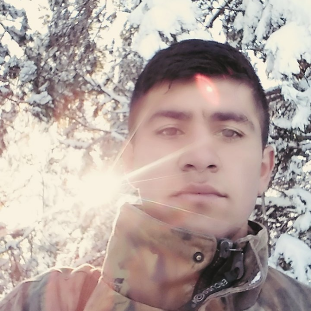 Halil