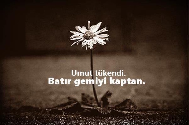 Dilek