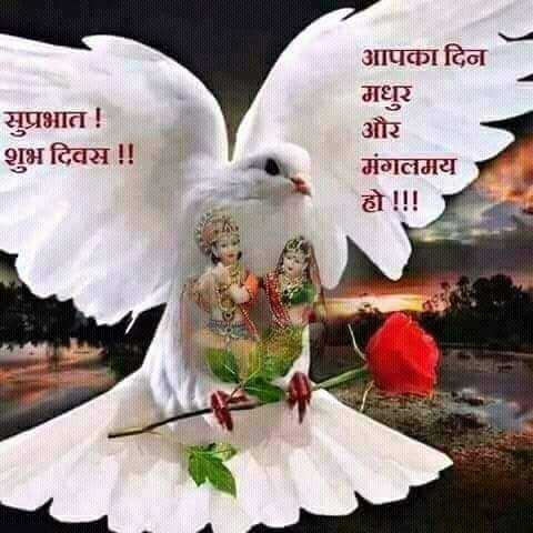 Vijay