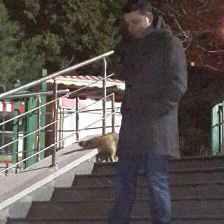 Murat