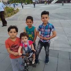 المخضرم
