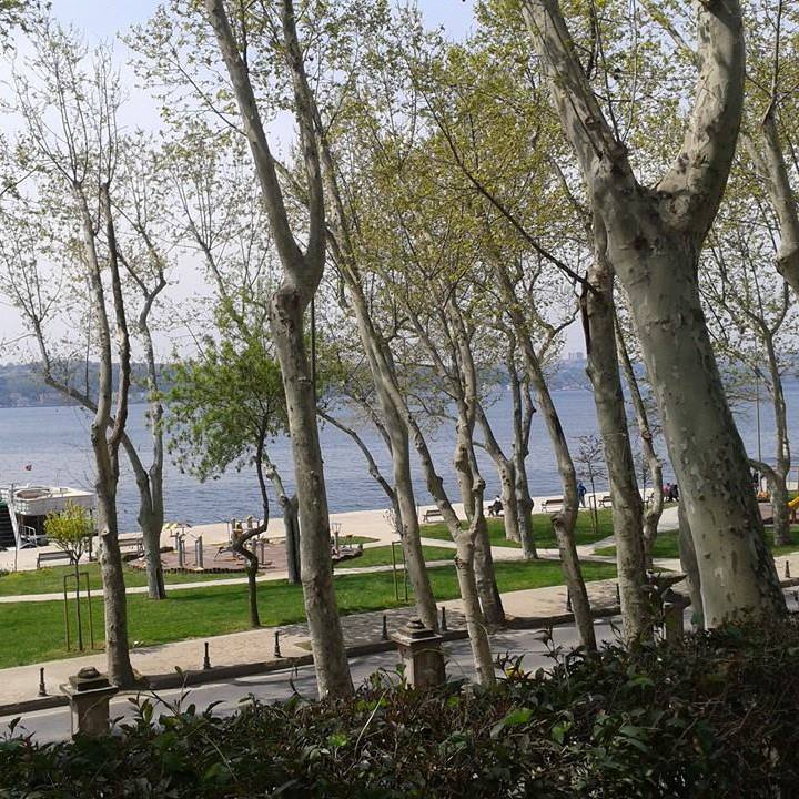 Tekin
