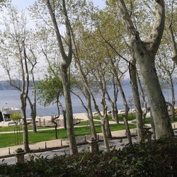 Tekin