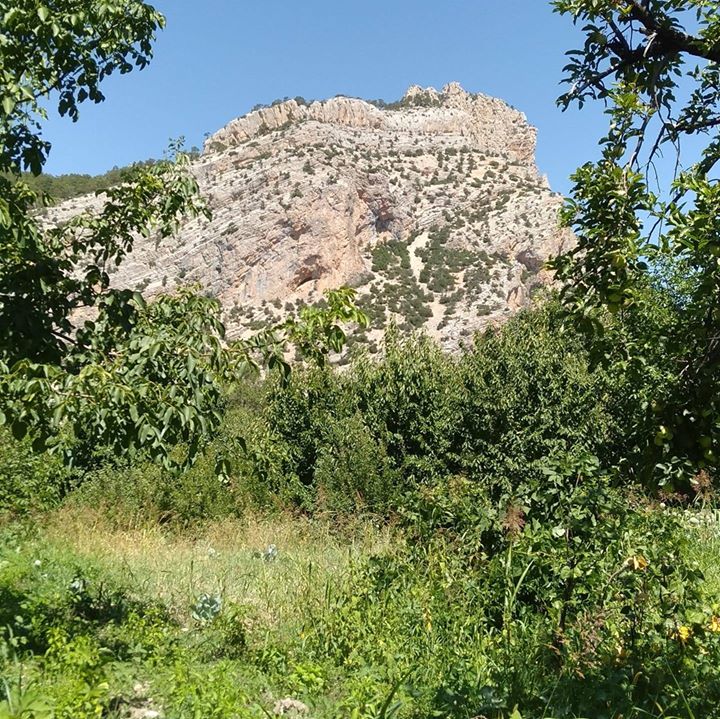 Osman