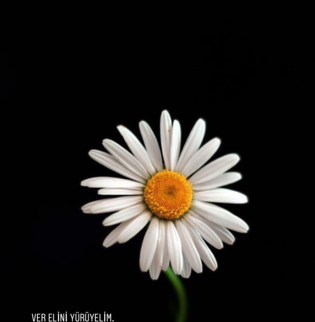 Ebru