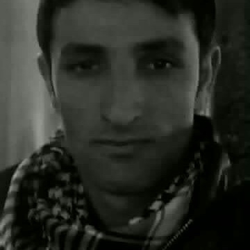 Poyraz